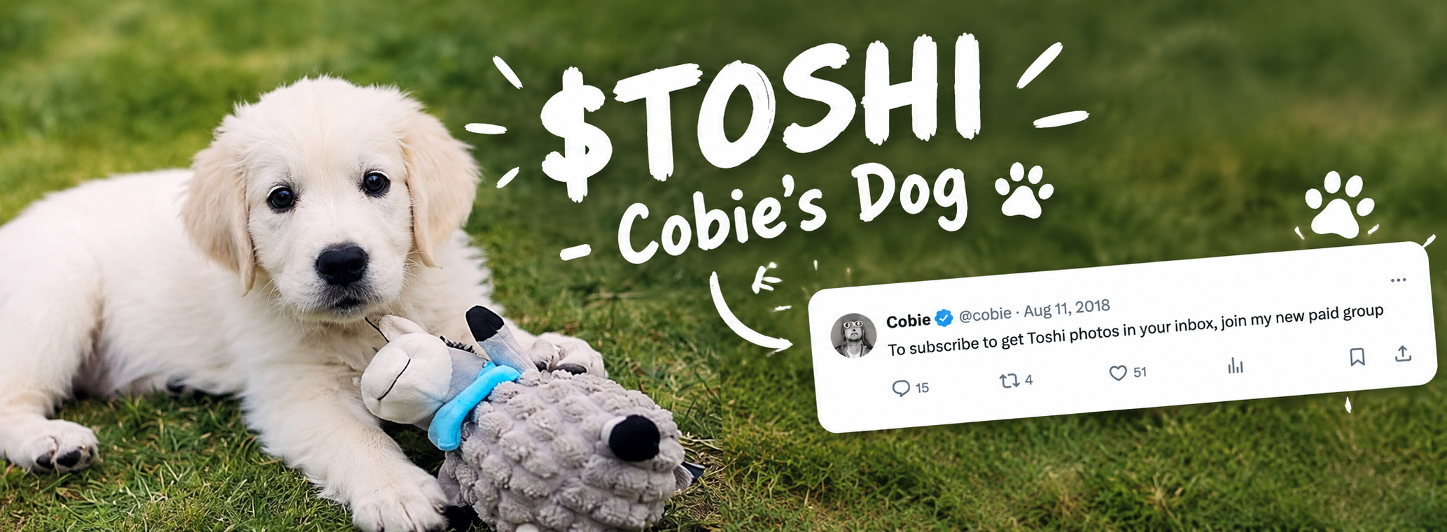$TOSHI — Cobie's Dog